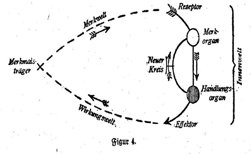 Uexkull schema